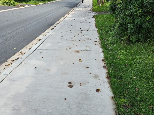 Cost of Sidewalk Renovation in Springfield