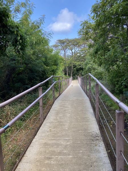 Cost of Footpath Construction in Springfield