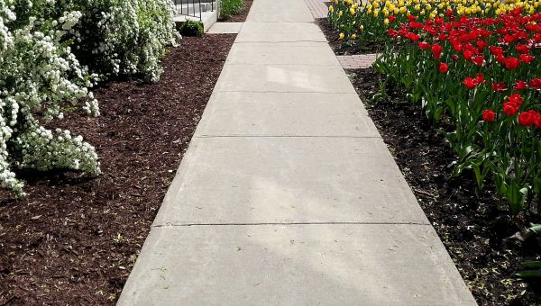 Cost of Cement Sidewalk Installation in Springfield