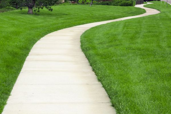 Cost of Sidewalk Paving in Springfield